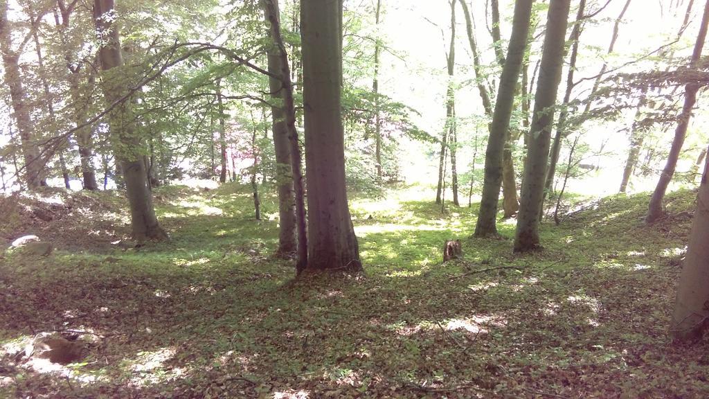 Penzion Kongo Telnice Buitenkant foto